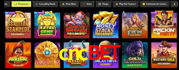 VIP Casino cncbet