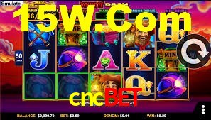 Sinta a adrenalina dos jogos de cassino com cncbet